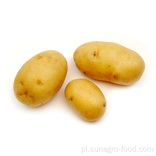 Organic Crisp And Delicious Potatoes